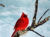 le-cardinal